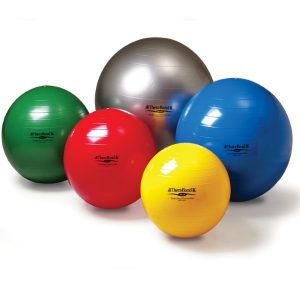 Thera-Band Excercise Ball